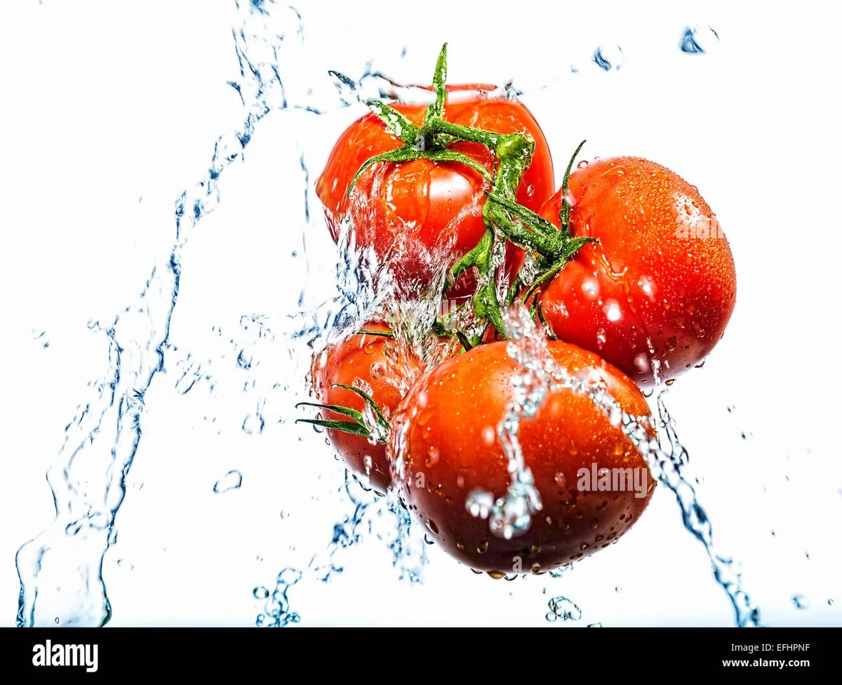 Les maraîchers révèlent : l