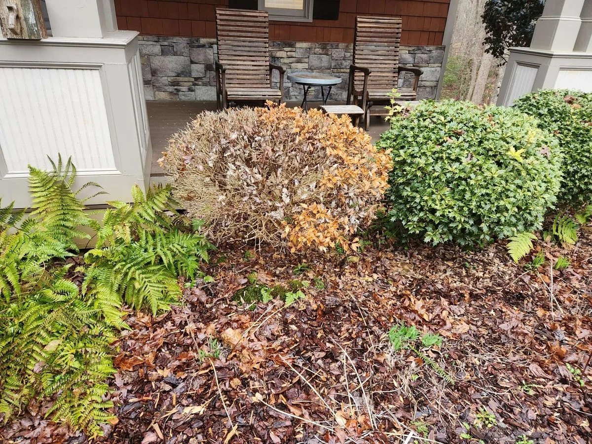 lesbotanistesre-gen-2.webp Les botanistes révèlent : l