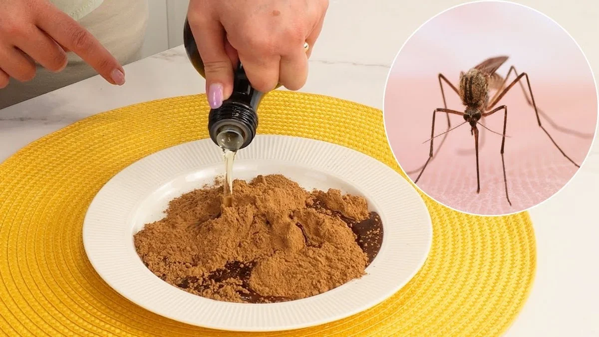 Un peu de cannelle sur la terre ? Les fourmis quitteront votre jardin immédiatement. - image 1