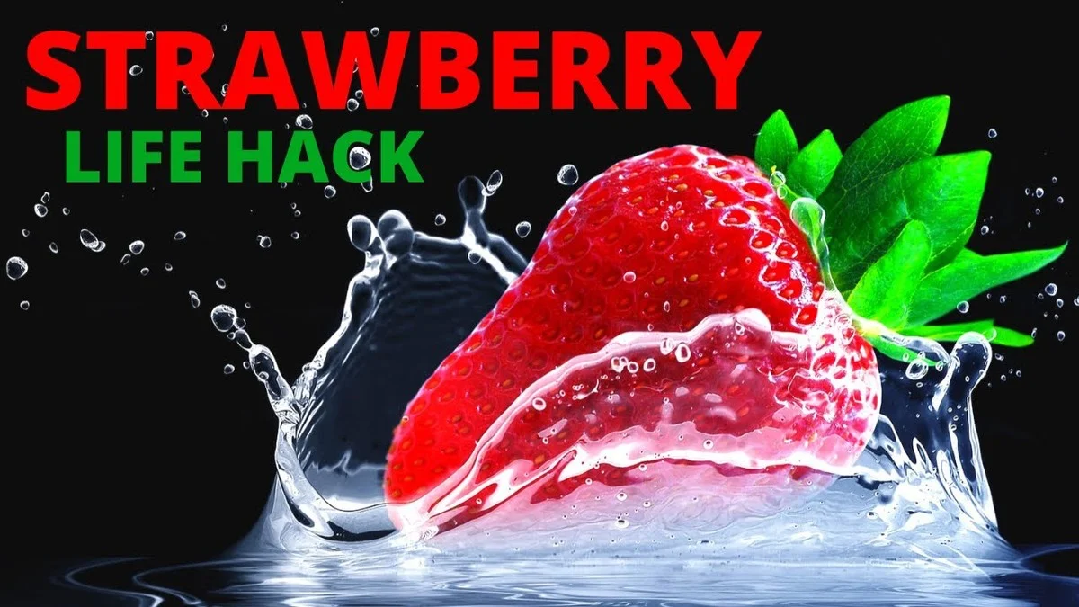 Bicarbonate de soude sur vos fraisiers ? Pourquoi cela prévient 90% des maladies fongiques.