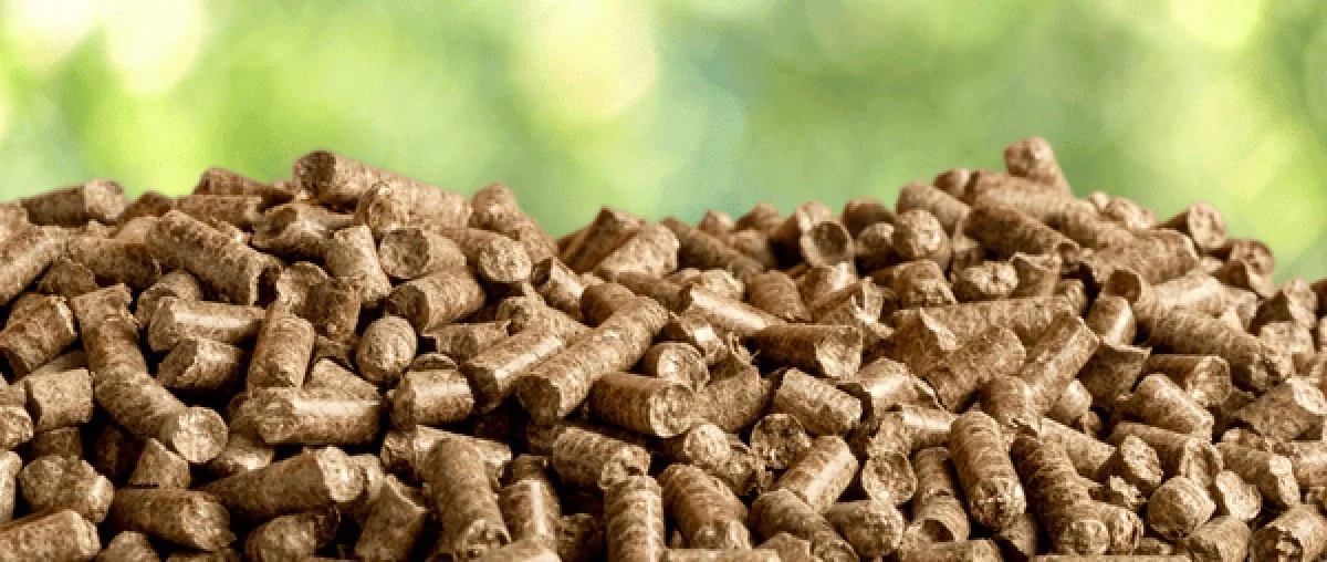 Des bouchons de liège dans votre compost ? L'astuce méconnue pour l'activer rapidement en été comme en hiver.