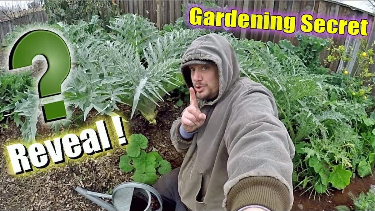 descendresdeboi-gen-3.webp Des cendres de bois dans le compost ? L