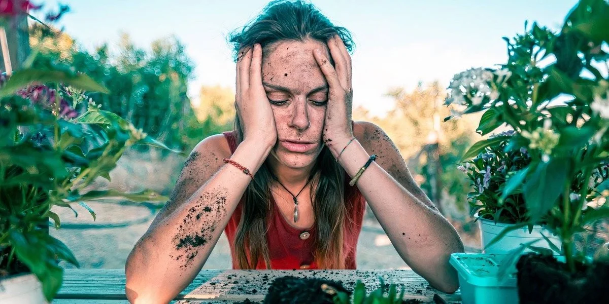 Les botanistes révèlent : la distance idéale entre chaque plant de légume. - image 2