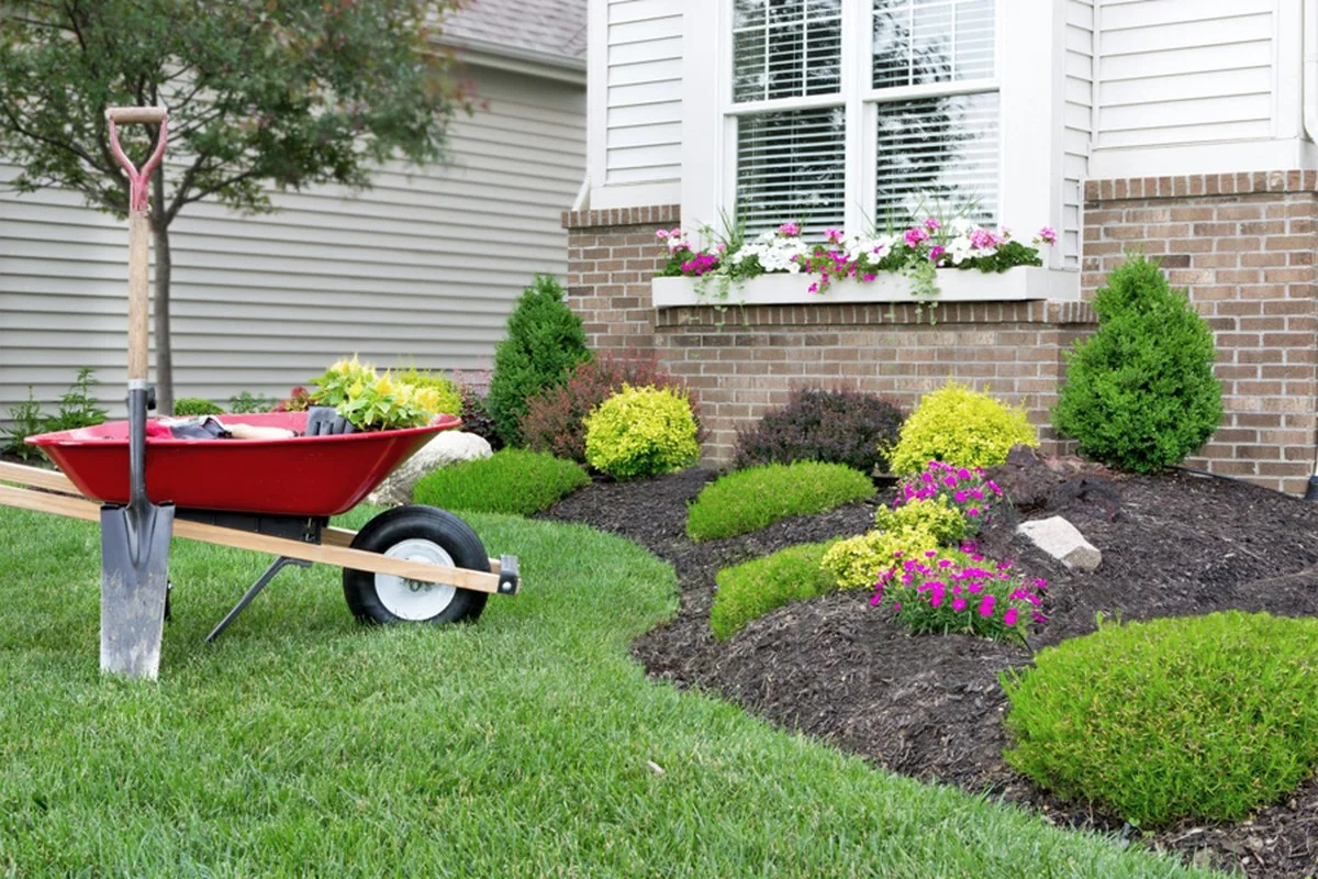 Les pépiniéristes vous implorent : ne plantez jamais ces arbustes trop près de la maison.