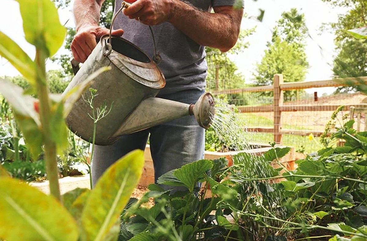 Les horticulteurs révèlent : l