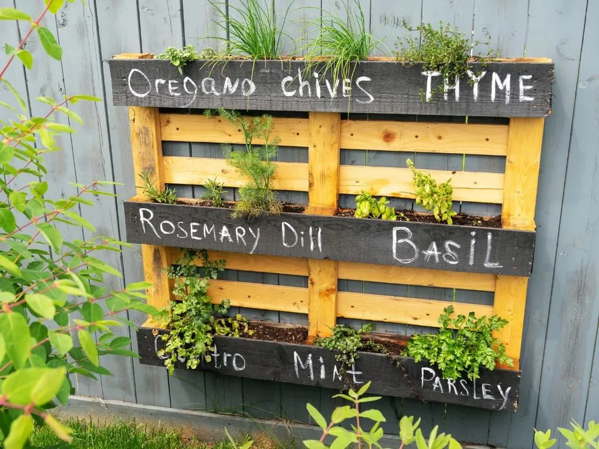 Un filet à pommes de terre pour vos plantes grimpantes ? L