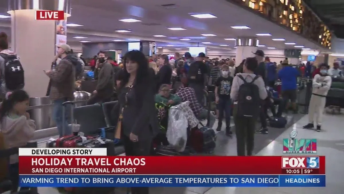 Pourquoi mettre une éponge sous le pot de fleurs est la solution secrète des pros - image 2