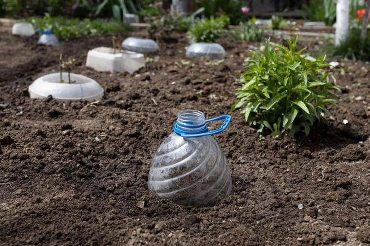 Bouteilles en plastique retournées dans les jardinières ? L