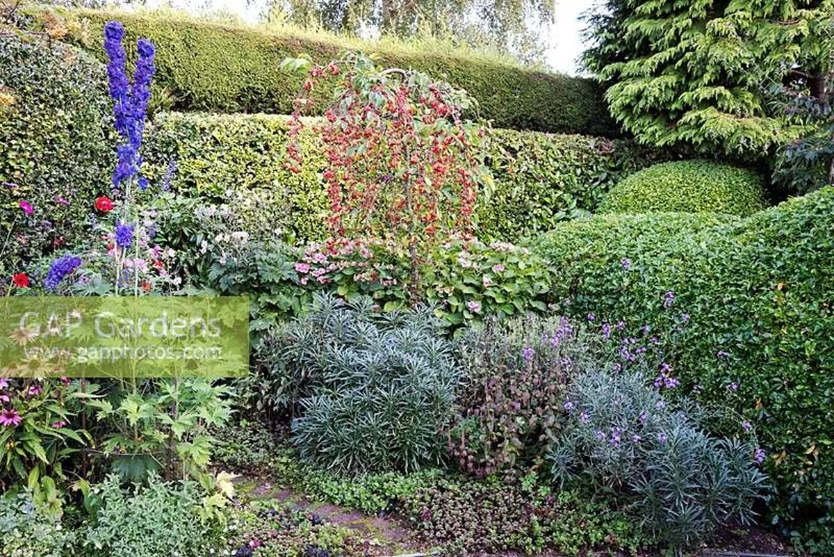 Les paysagistes révèlent : ne plantez jamais ces arbustes côte à côte, ils se détestent !