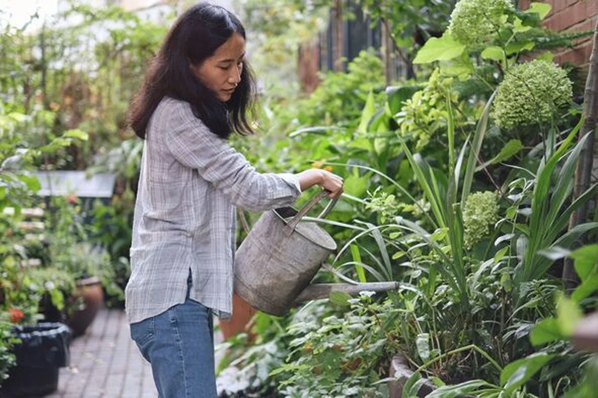Un paysagiste de Versailles révèle : l'erreur fatale que commettent 90% des jardiniers français.