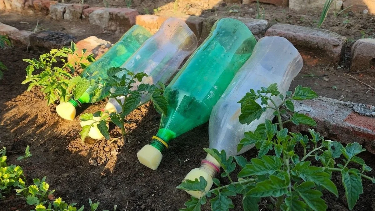 Une bouteille en plastique devient un système d