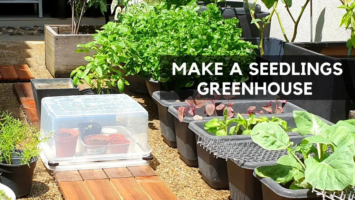 Bouteilles en plastique coupées dans le jardin ? Voici comment elles protègent vos semis. - image 1