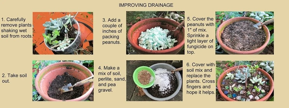 desbouchonsdeli-gen-2.webp Des bouchons de liège dans le terreau ? L