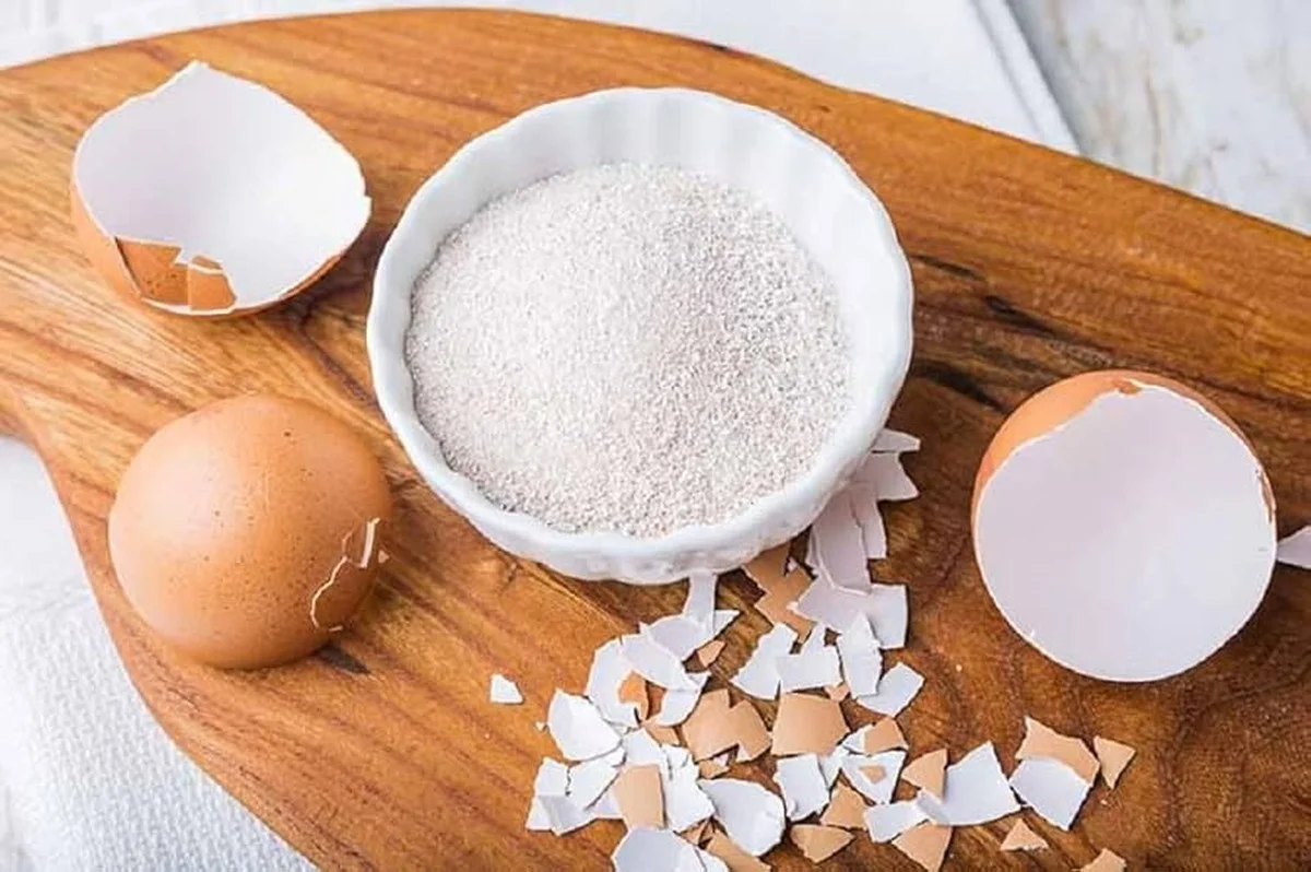 Des coquilles d'œufs dans le sol du jardin ? Pourquoi vos tomates vous remercieront.