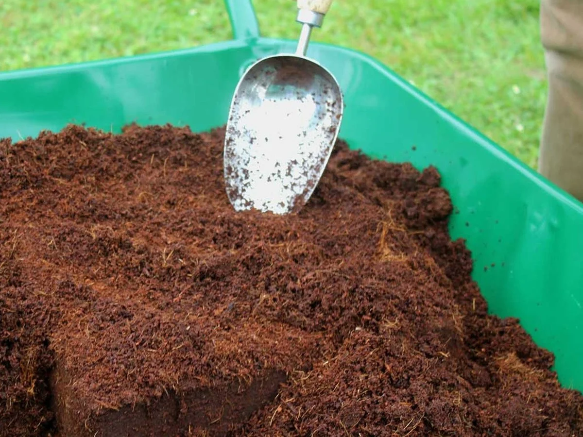 Des bouchons de liège dans le compost ? L