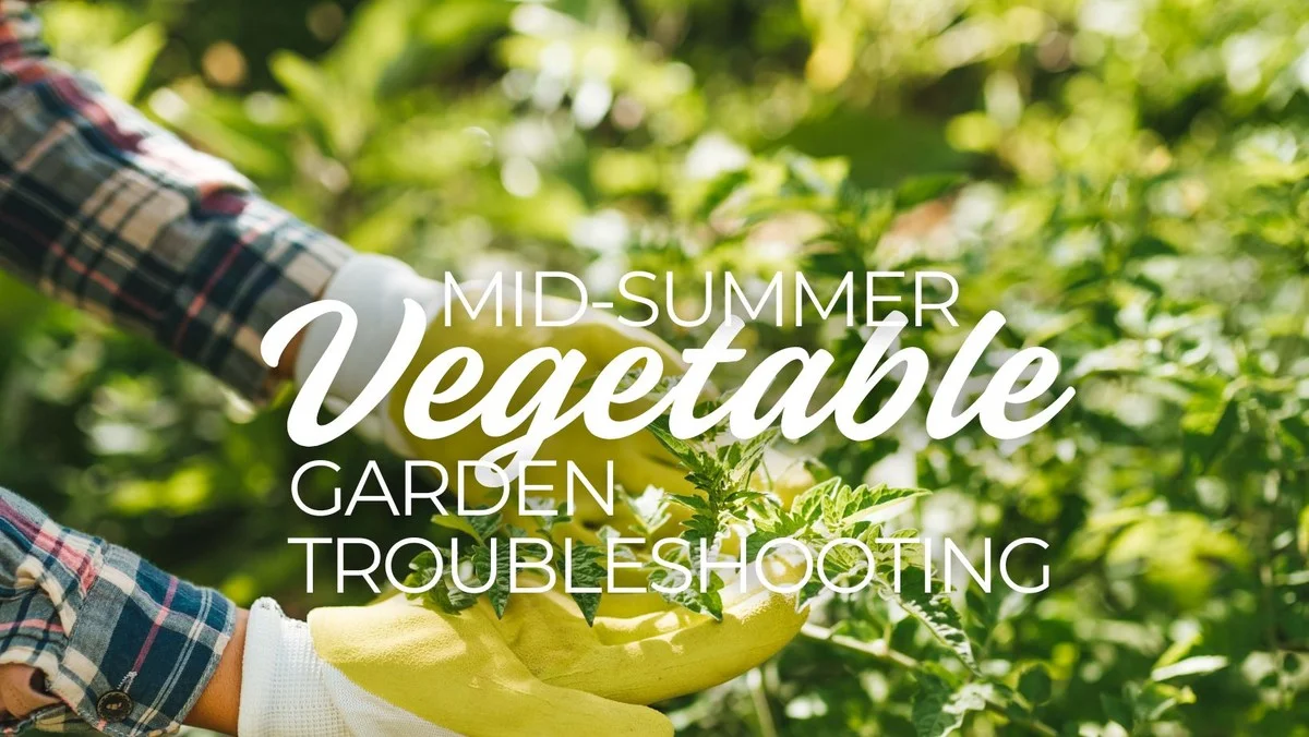 Jardiniers professionnels révèlent : l