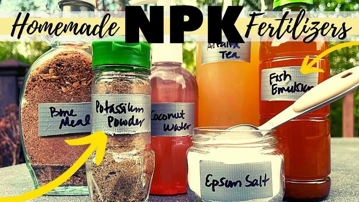 Les maraîchers supplient : ne jetez jamais ces déchets de légumes, ils valent de l