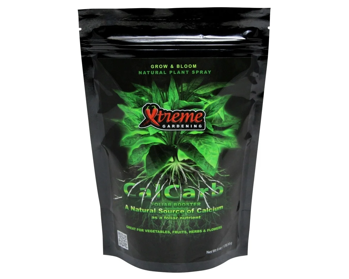 descoquillesduf-gen-2.webp Des coquilles d