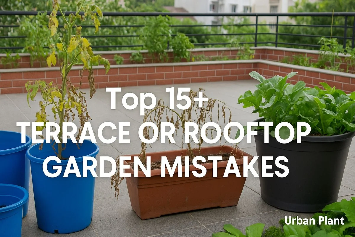 Les pépiniéristes vous supplient : ne plantez jamais ces arbustes près de votre terrasse.