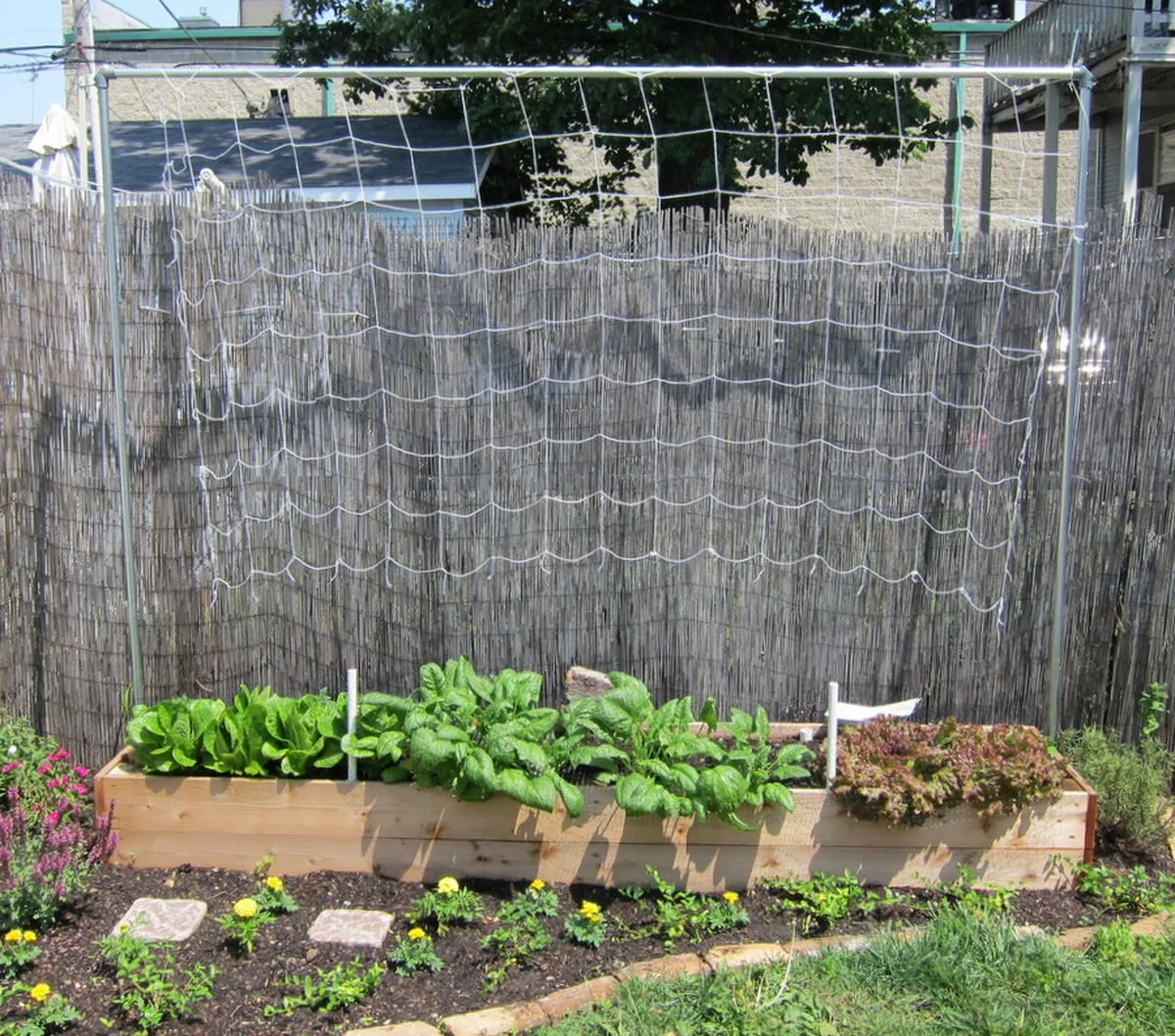 Un filet à pommes de terre pour vos plantes grimpantes ? L'astuce géniale pour un support économique.