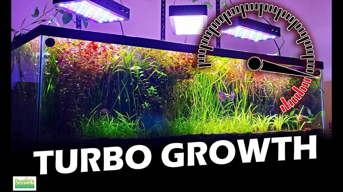 dumarcdecafedan-gen-3.webp Du marc de café dans votre jardin ? Pourquoi vos plantes pousseront 50% plus vite. - image 2