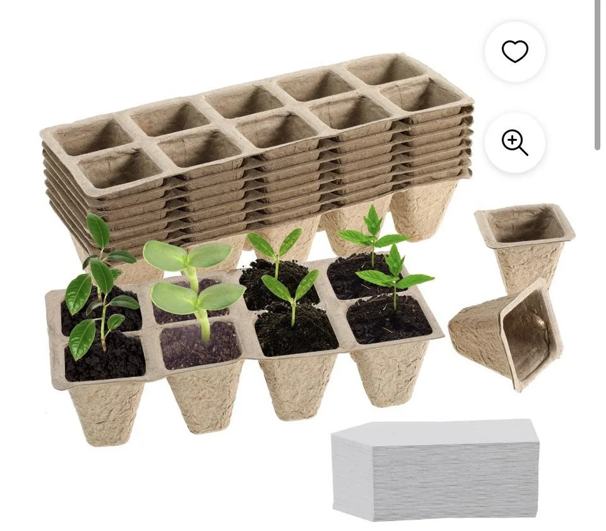 Un gobelet en carton pour planter ? Pourquoi c