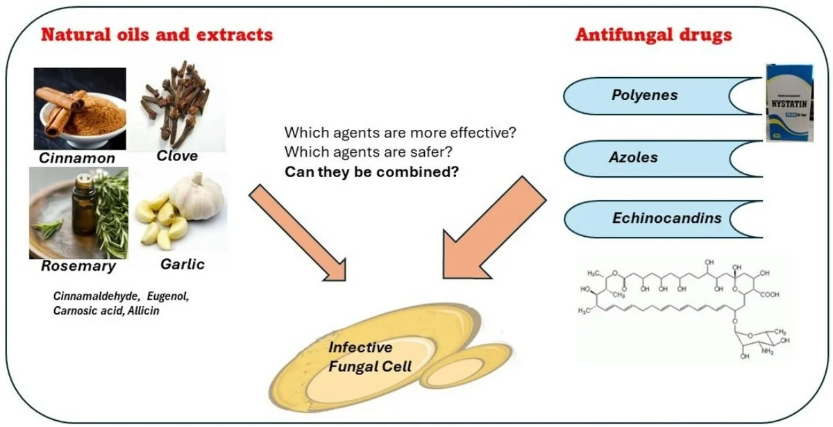unpeudecannelle-gen-3.webp Un peu de cannelle sur vos semis ? La solution naturelle contre les champignons nuisibles. - image 2