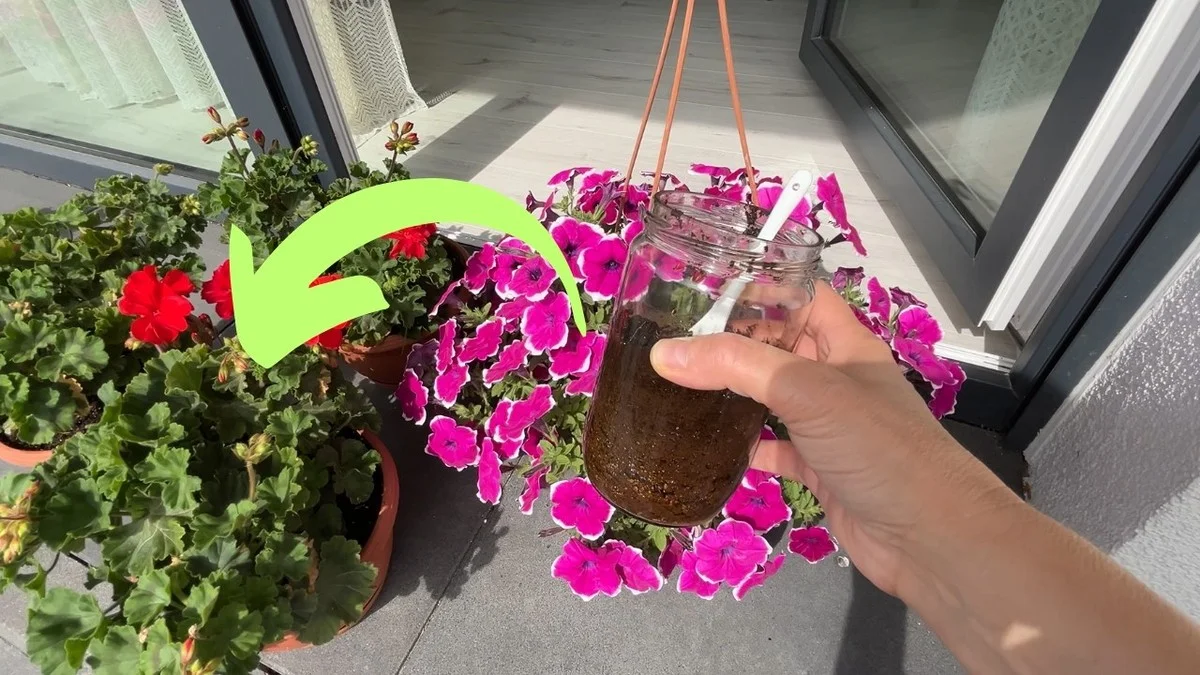 Une cuillère dans le trou de plantation ? Pourquoi les jardiniers professionnels ne s