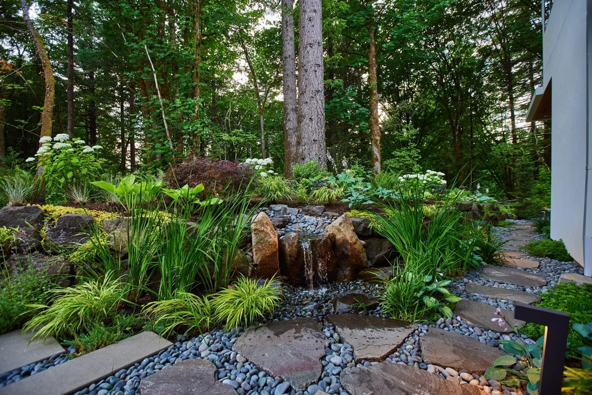 Des bouchons de liège plantés dans le jardin ? L