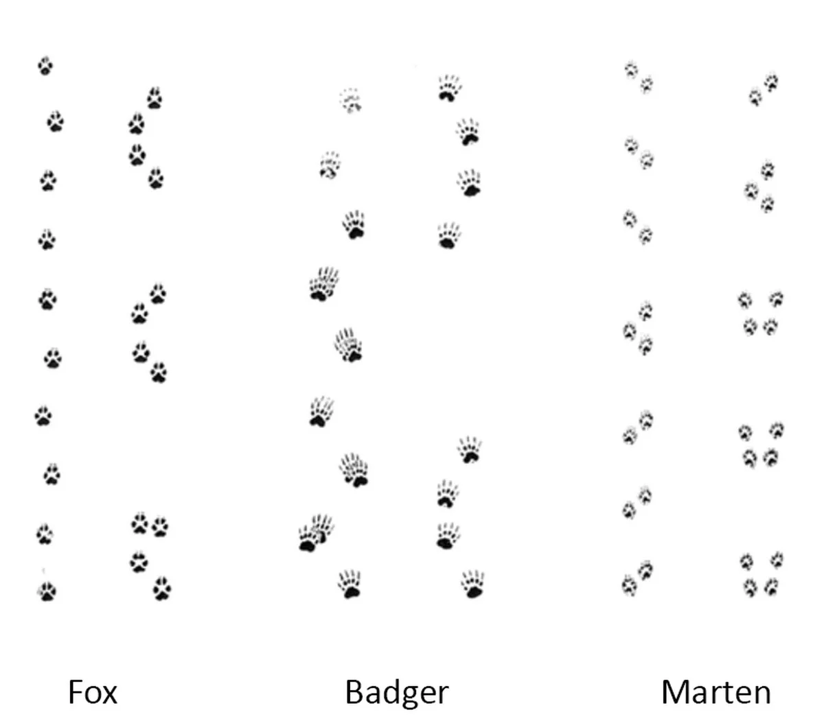Pourquoi les jardiniers expérimentés mettent une éponge au fond du pot. - image 1