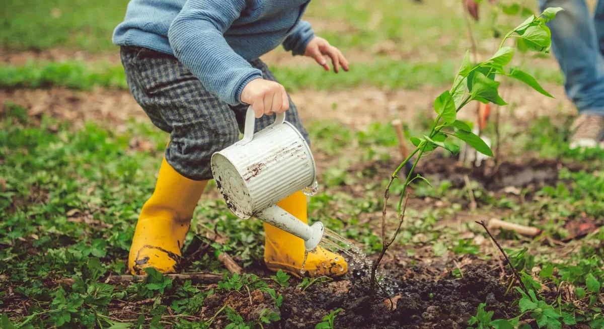Une bouteille en plastique transformée en système d