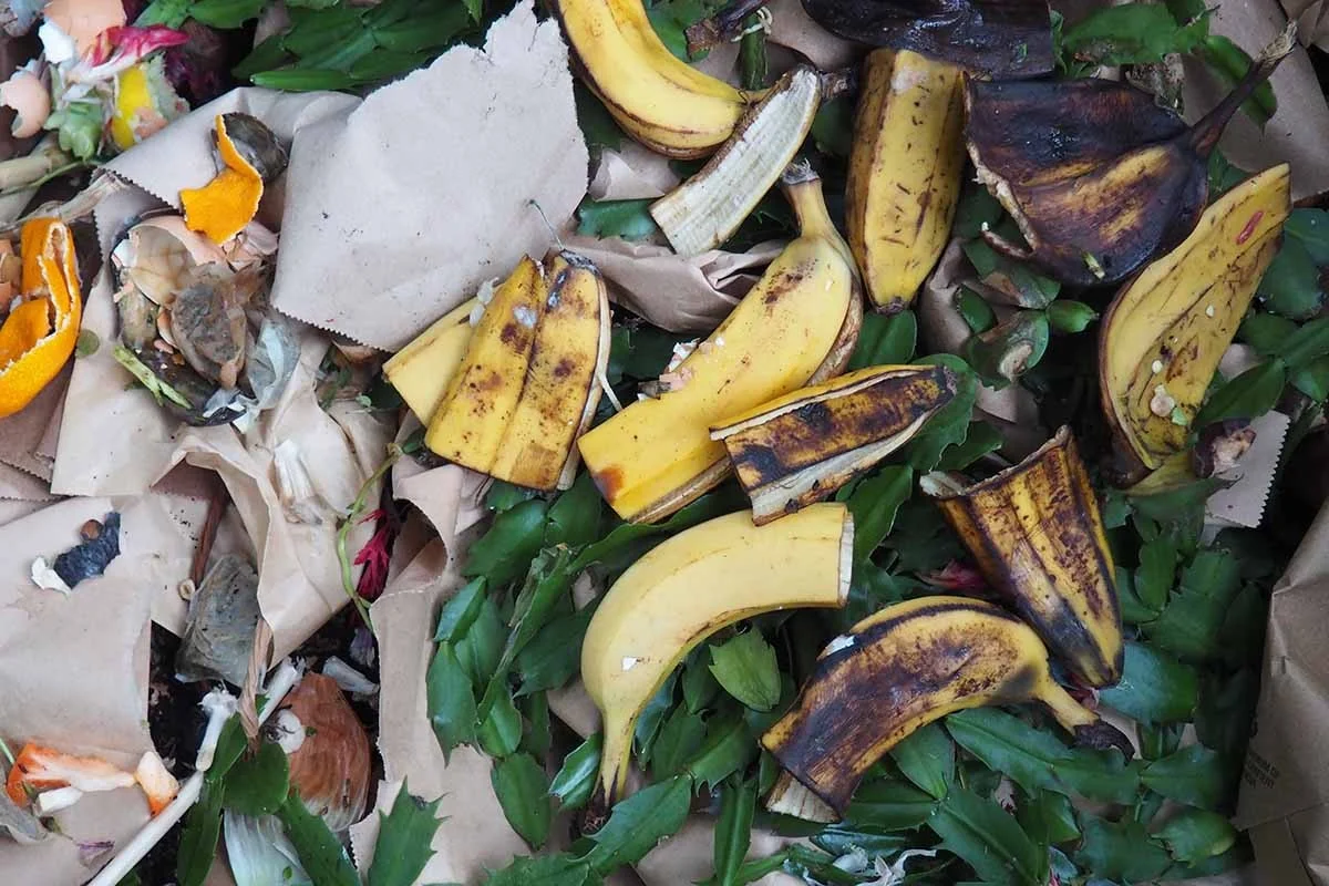 Les maraîchers supplient : ne jetez jamais ces déchets de légumes, ils valent de l