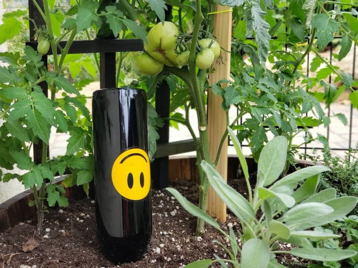 Des bouteilles en plastique coupées ? Un système d