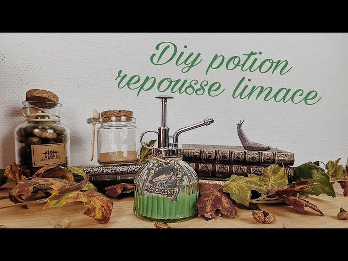 Cendres de bois saupoudrées au pied des plants ? L