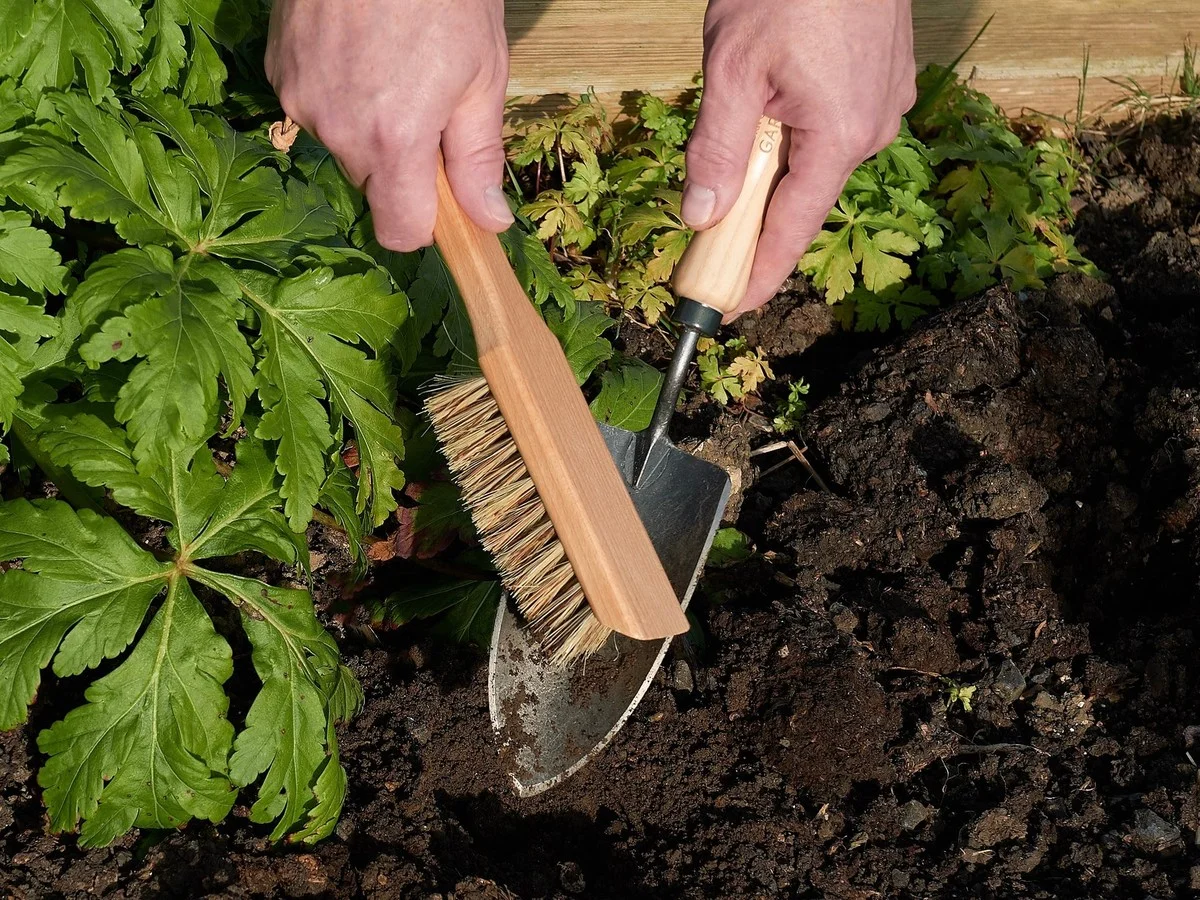 Une vieille brosse à dents pour nettoyer vos outils de jardinage ? L'astuce qui prolonge leur durée de vie.
