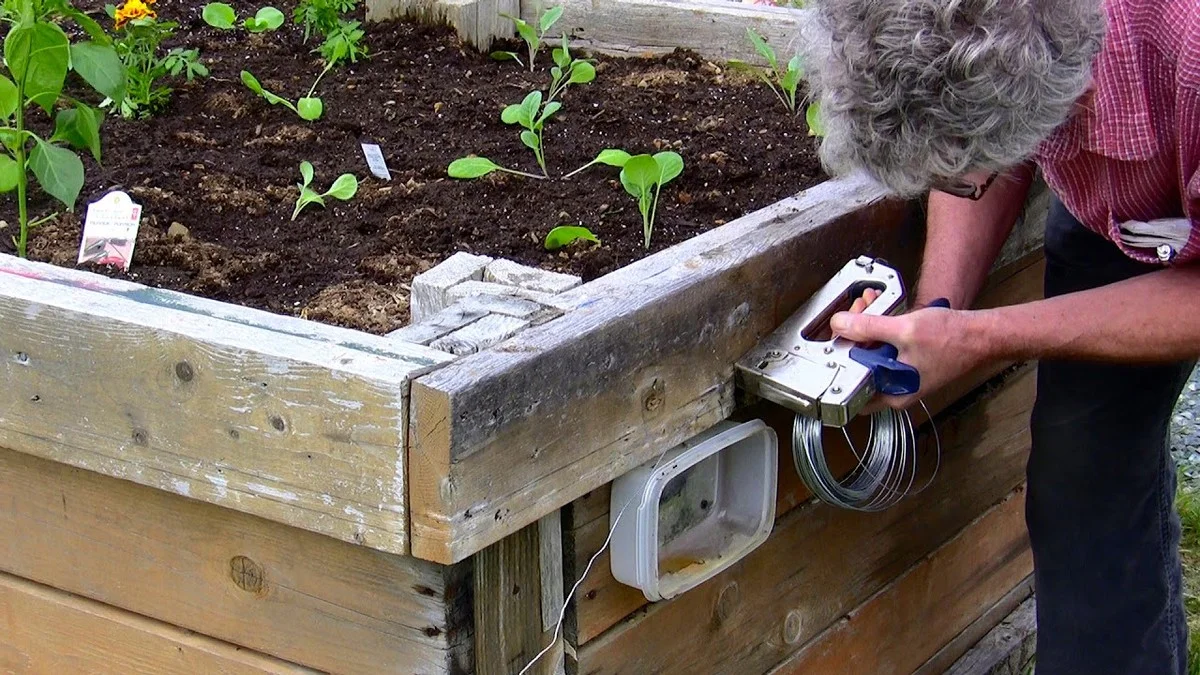 Des pièges à bière dans le potager ? Comment éliminer les limaces sans produits chimiques.