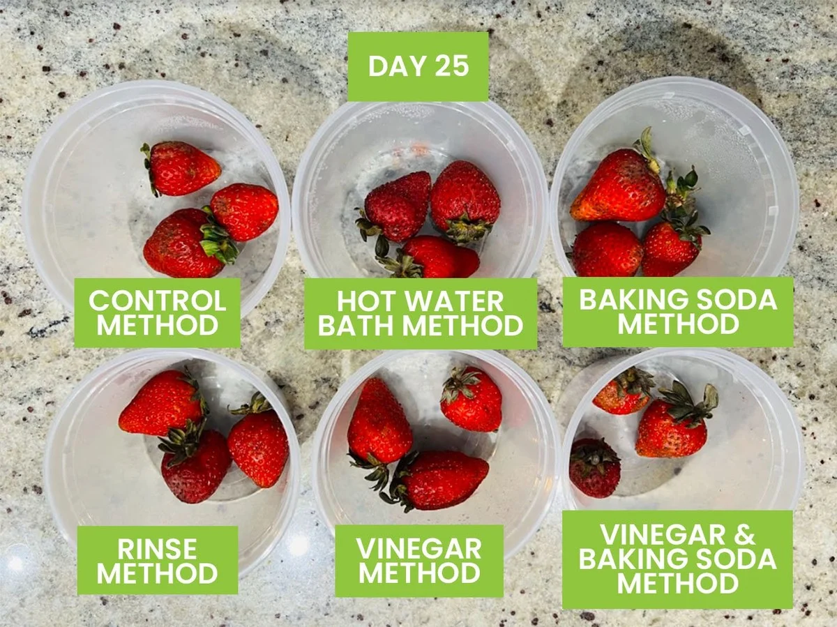 Bicarbonate de soude sur vos fraisiers ? Pourquoi ils produiront deux fois plus.