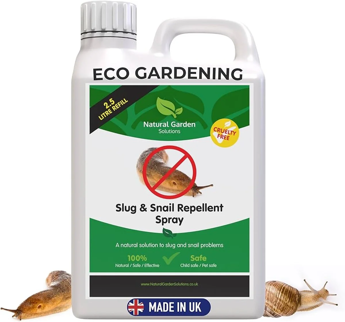 descoquillesduf-gen-2.webp Des coquilles d