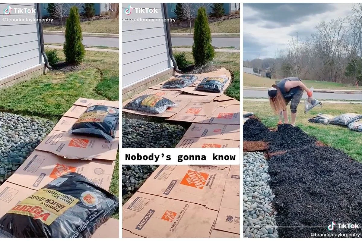 Carton brun entre vos rangs de légumes ? Oubliez le désherbage pendant tout l'été.