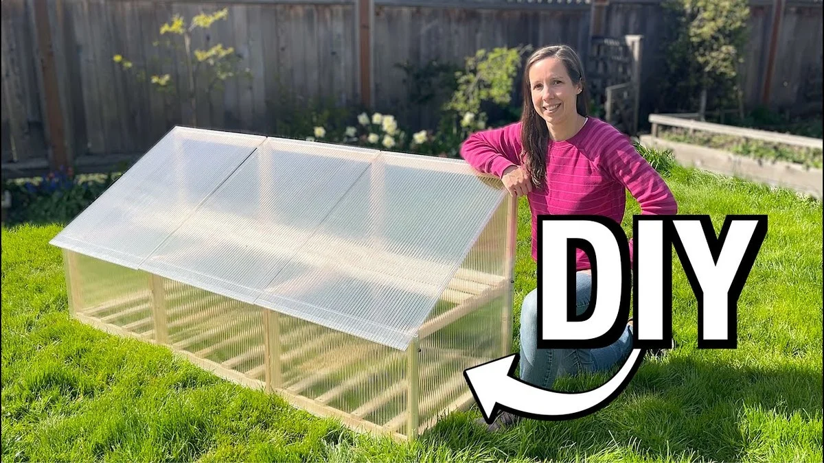 Bouteilles en plastique coupées dans le jardin ? Voici comment elles protègent vos semis. - image 2