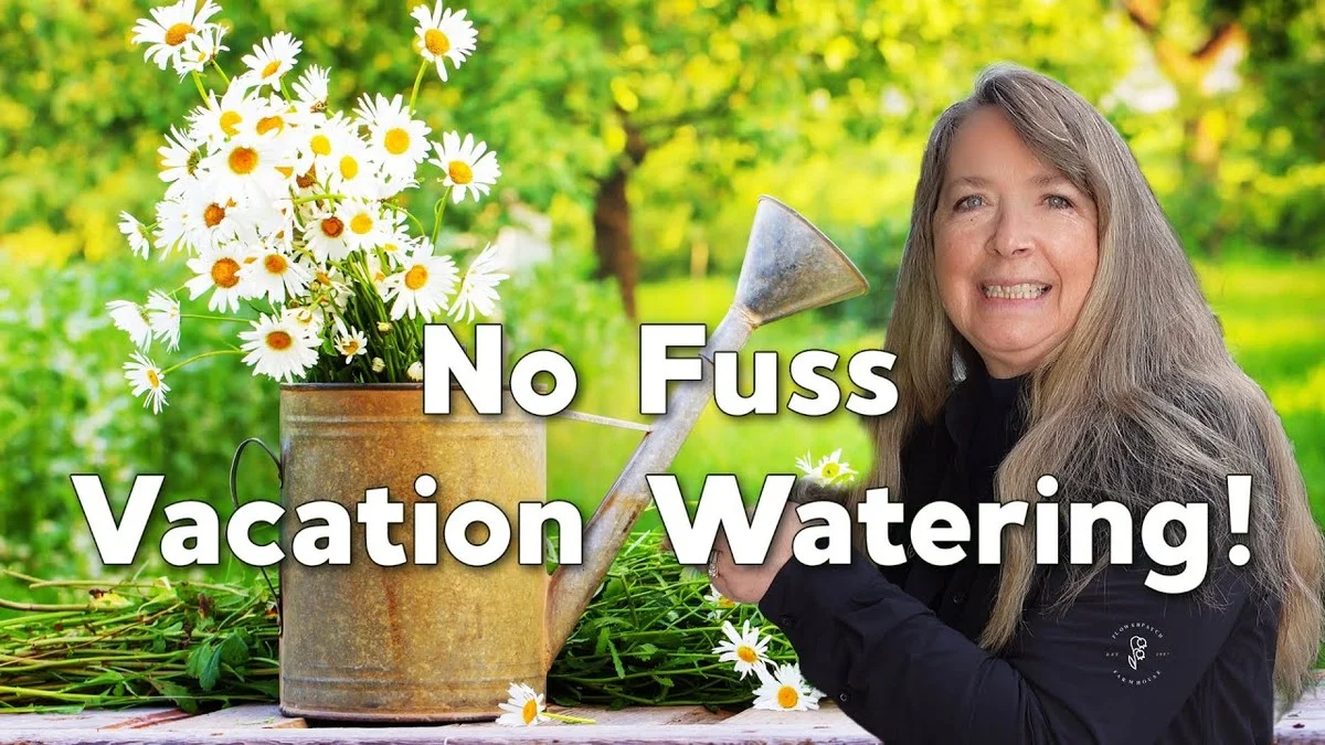 Une bouteille plastique retournée dans les pots ? Comment arroser vos plantes pendant vos vacances. - image 2