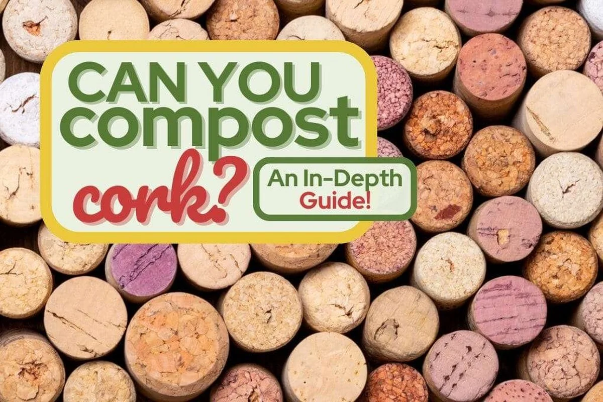 Des bouchons de liège dans votre compost ? L'astuce méconnue qui accélère la décomposition.