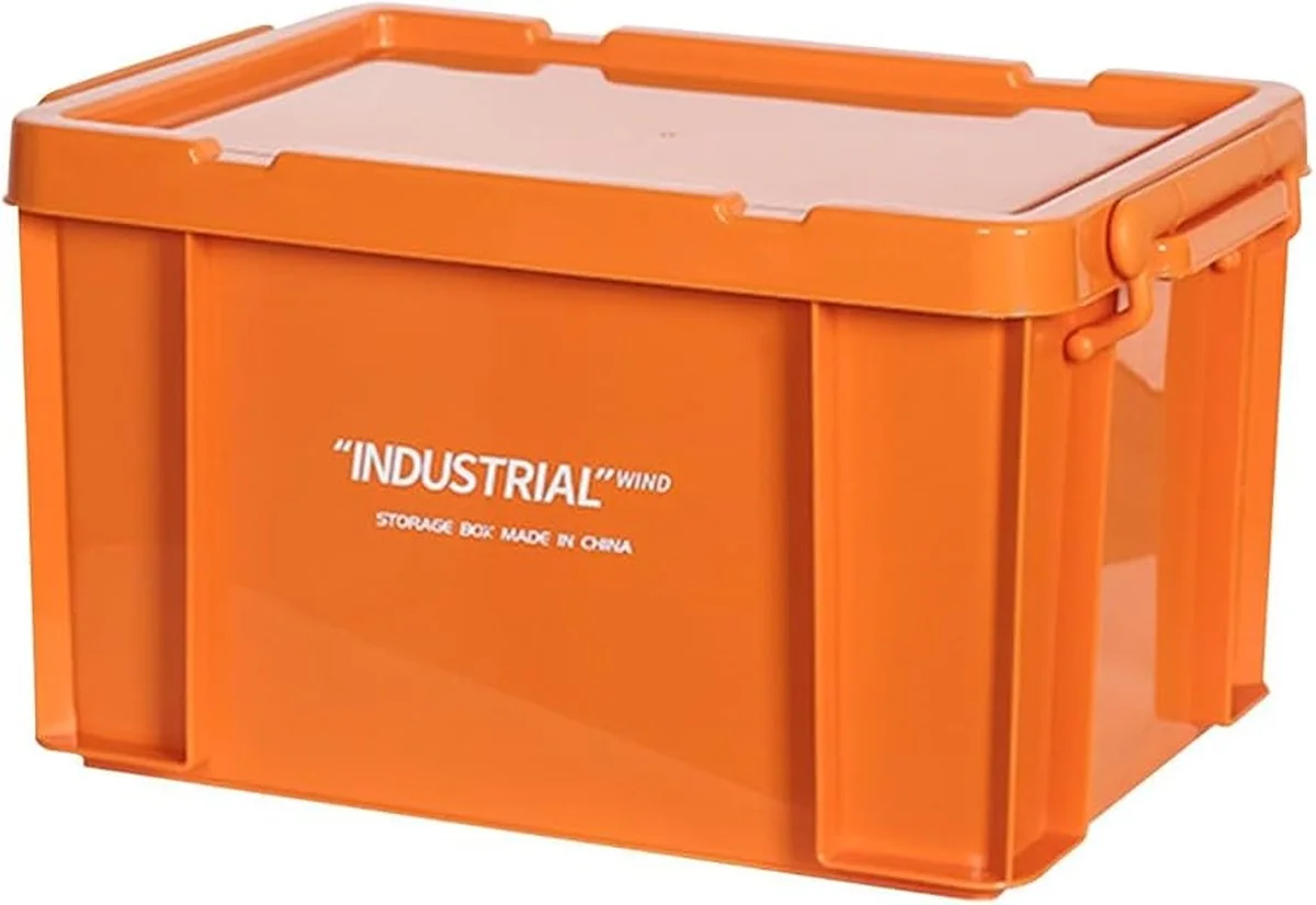 Pourquoi les professionnels ne conservent jamais les oranges empilées sur le comptoir - image 1