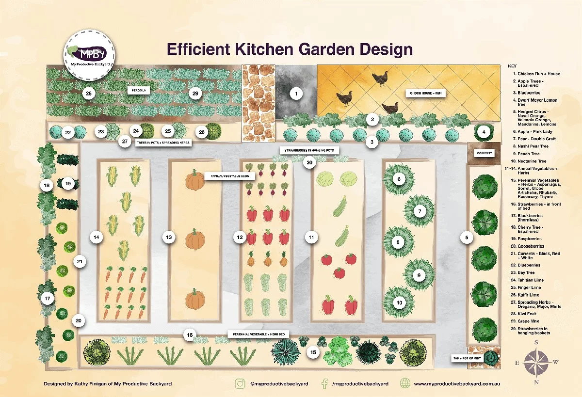 Les botanistes révèlent : la distance idéale entre chaque plant de légume. - image 1