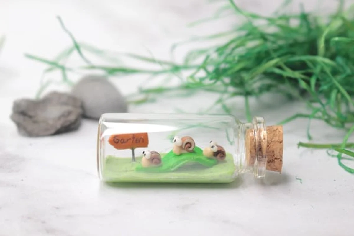 Des bouchons de liège dans votre jardin ? L'astuce méconnue pour repousser les limaces.