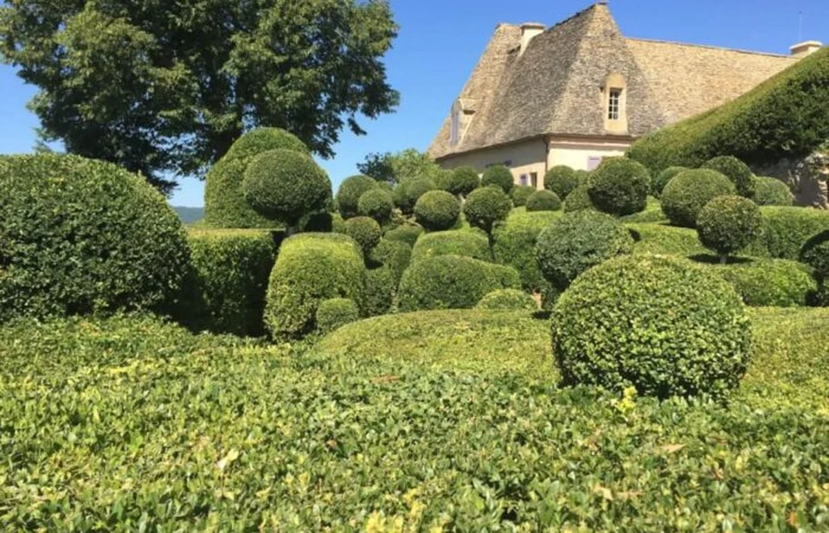Les pépiniéristes vous supplient : ne plantez jamais ces arbustes près de votre maison. - image 1