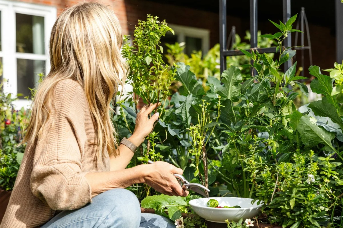 Les paysagistes vous supplient : ne taillez jamais vos arbustes de cette façon. - image 1