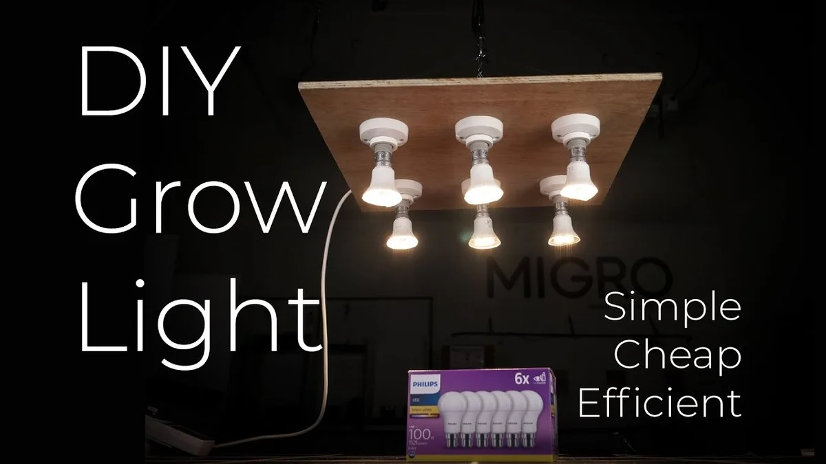 Un filet à pommes de terre pour vos bulbes ? L