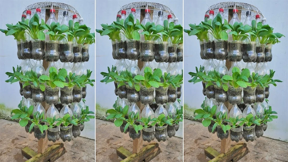 Des bouteilles en plastique retournées dans vos pots ? L