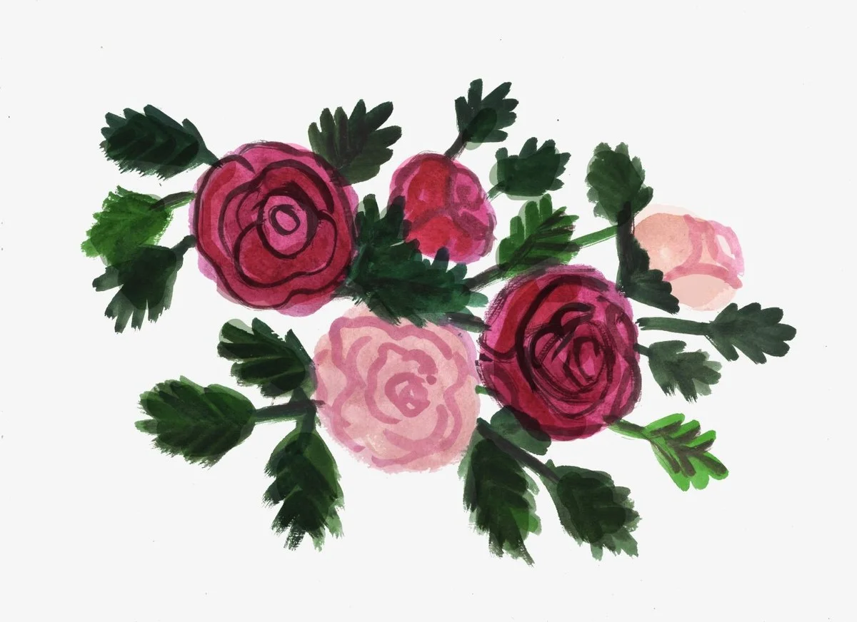 Du marc de café dans les plates-bandes ? Pourquoi vos rosiers vous remercieront. - image 2